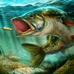 Ultimate Fishing Simulator 3.5 Apk Mod Unlimited Money Ultimate Fishing Simulator 3.5 Apk Mod Unlimited Money