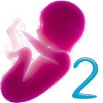 Alimas Baby 2 Virtual Pet 1.112 Apk Mod Unlimited Money
