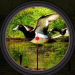 Duck Hunting Wild Shooting 2.5 Apk Mod Unlimited Money Duck Hunting Wild Shooting 2.5 Apk Mod Unlimited Money