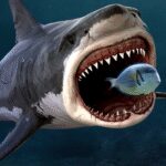 King of the Fish Tank 2.0.4 Apk Mod Unlimited Money King of the Fish Tank 2.0.4 Apk Mod Unlimited Money