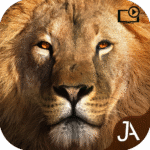 Safari Online Evolution 25.8.1 Apk Mod Unlimited Money Safari Online Evolution 25.8.1 Apk Mod Unlimited Money