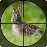 Rabbit Hunting Bow Games 1.5 Apk Mod Unlimited Money