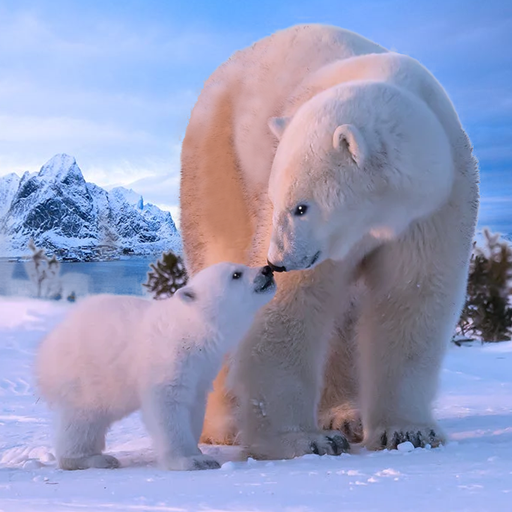 The Bear 1.2.2 Apk Mod Unlimited Money