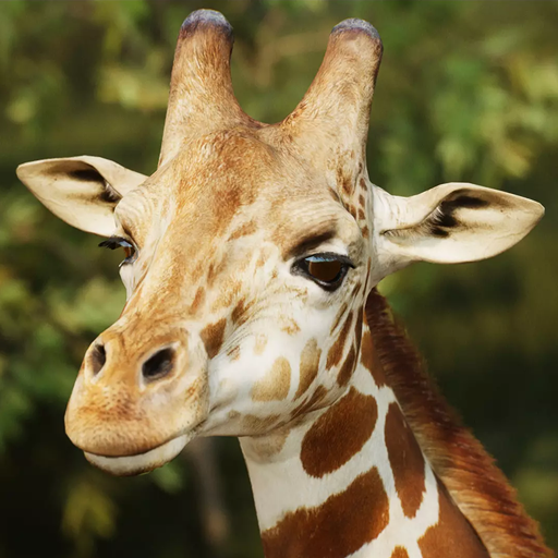 The Giraffe 1.2.3 Apk Mod Unlimited Money