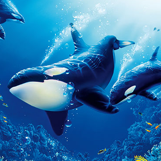 The Killer Whale 1.2.1 Apk Mod Unlimited Money