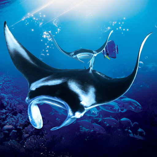 The Manta rays 1.1.8 Apk Mod Unlimited Money