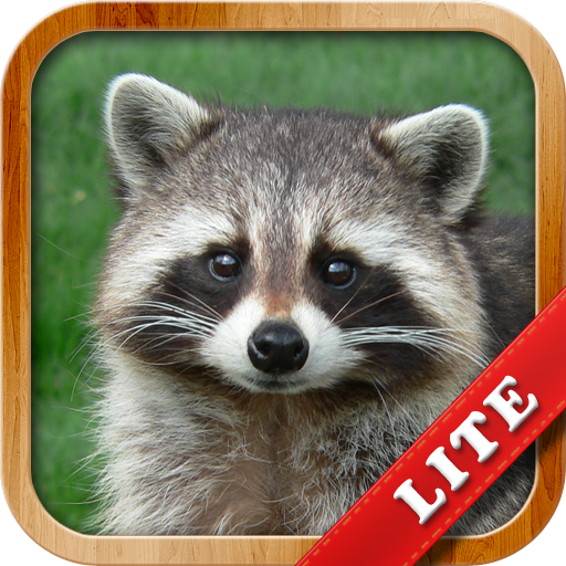 Animals for Kids 9.6.2 Apk Mod Unlimited Money