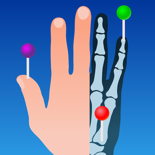 IMAIOS e-Anatomy 8.1.1 Apk Mod Premium