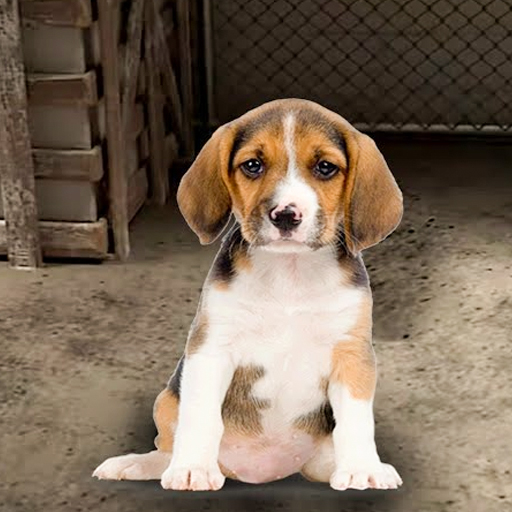 My Pet Animal Shelter World 1.16 Apk Mod Unlimited Money