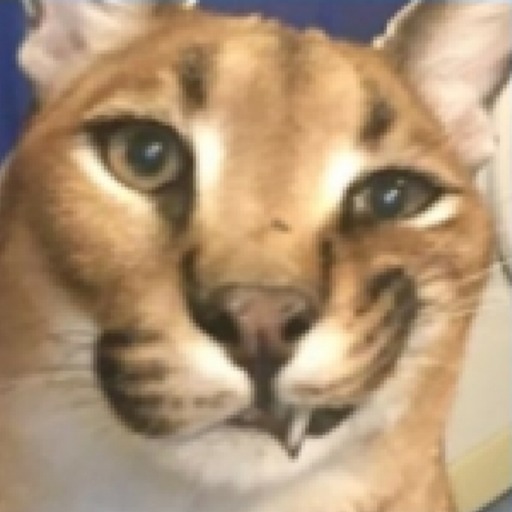 Survival with Floppa 2.5.6 Apk Mod Unlimited Money