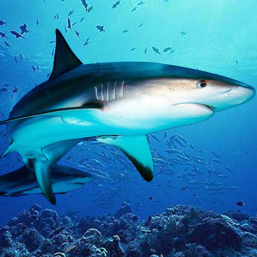 The DogFish 1.2.2 Apk Mod Unlimited Money