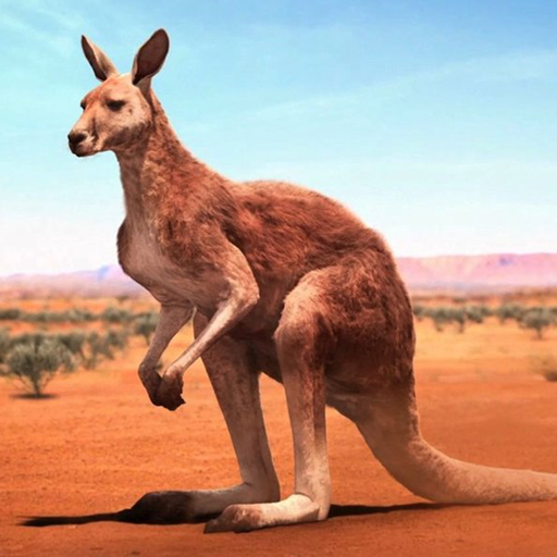 The Kangaroo 1.2.3 Apk Mod Unlimited Money