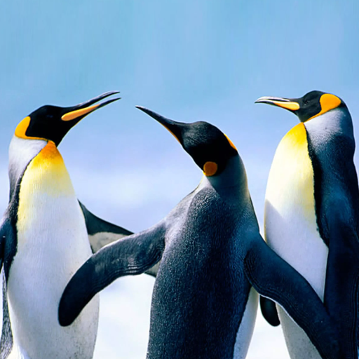 The Penguin 1.2.1 Apk Mod Unlimited Money