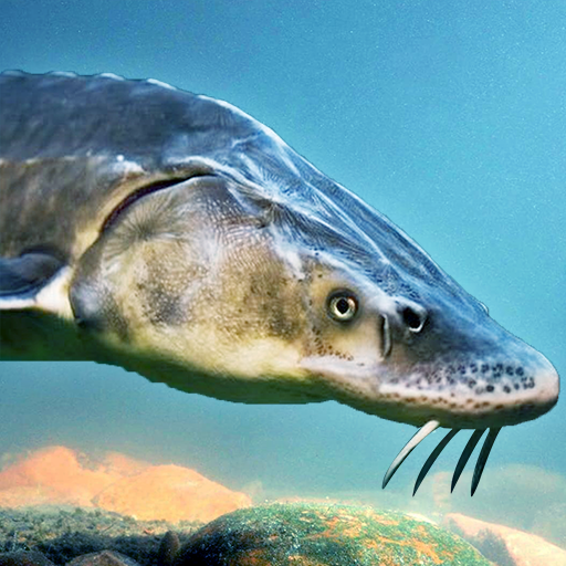 The Sturegon 1.2.5 Apk Mod Unlimited Money