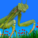 Bugs Insects VRAR Kid Game 4.5.1 Apk Mod Unlimited Money
