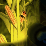 Cornbabies The Game 0.2 Apk Mod Unlimited Money Cornbabies The Game 0.2 Apk Mod Unlimited Money