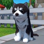 Dog Simulator 3D – Animal Life 1.1.00 Apk Mod Unlimited Money Dog Simulator 3D – Animal Life 1.1.00 Apk Mod Unlimited Money