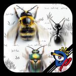 Insect Race 25.000 Apk Mod Unlimited Money