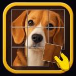 Jigsort jigsaw block puzzle 1.5.57 Apk Mod Unlimited Money