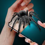 Spider on My Hand Joke 1.9 Apk Mod Unlimited Money