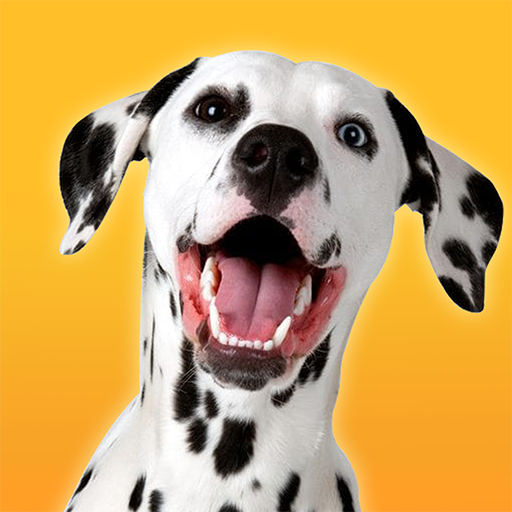 Dalmatian Simulator 1.3.0 Apk Mod Unlimited Money