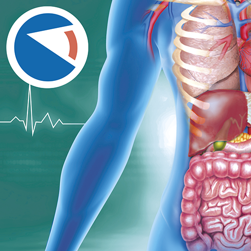 Anatomia Super 1.1.6 Apk Mod Unlimited Money