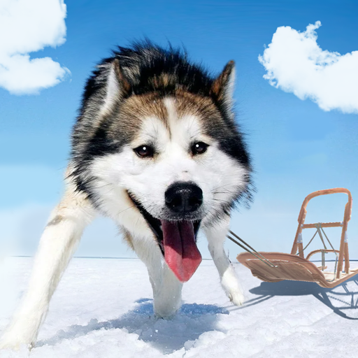 Alaskan Malamute Simulator 1.2.6 Apk Mod Unlimited Money