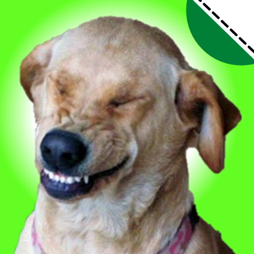 Stickers de perros graciosos 9.8 Apk Mod Premium