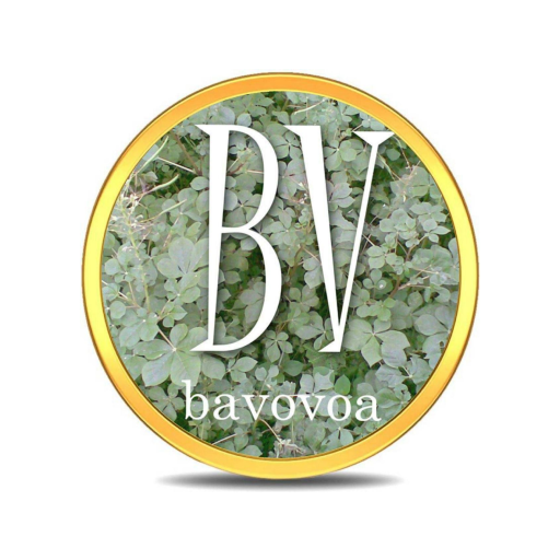 Bavovoa 1.0.13 Apk Mod Premium