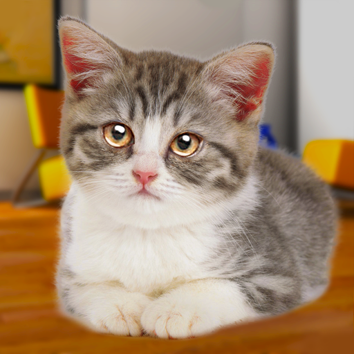 Talking Cat Funny 1.2.0 Apk Mod Unlimited Money Talking Cat Funny 1.2.0 Apk Mod Unlimited Money